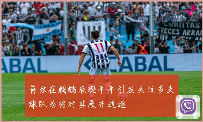 普尔在鹈鹕表现平平引发关注多支球队或将对其展开追逐